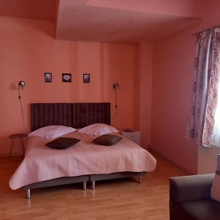 Pensiunea Vila Dana Клуж-Напока Экстерьер фото