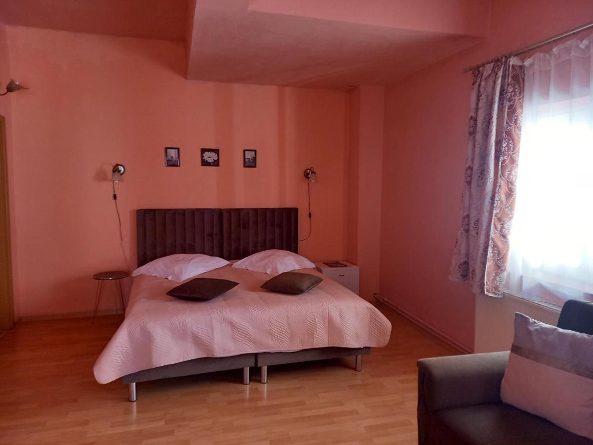Pensiunea Vila Dana Клуж-Напока Экстерьер фото